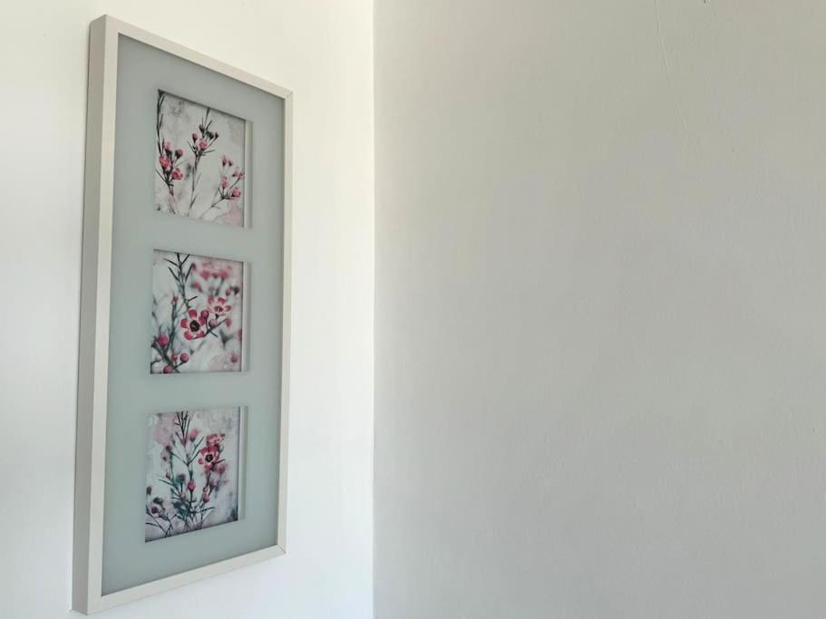 Palm Garden Apartment 모로델제블 외부 사진