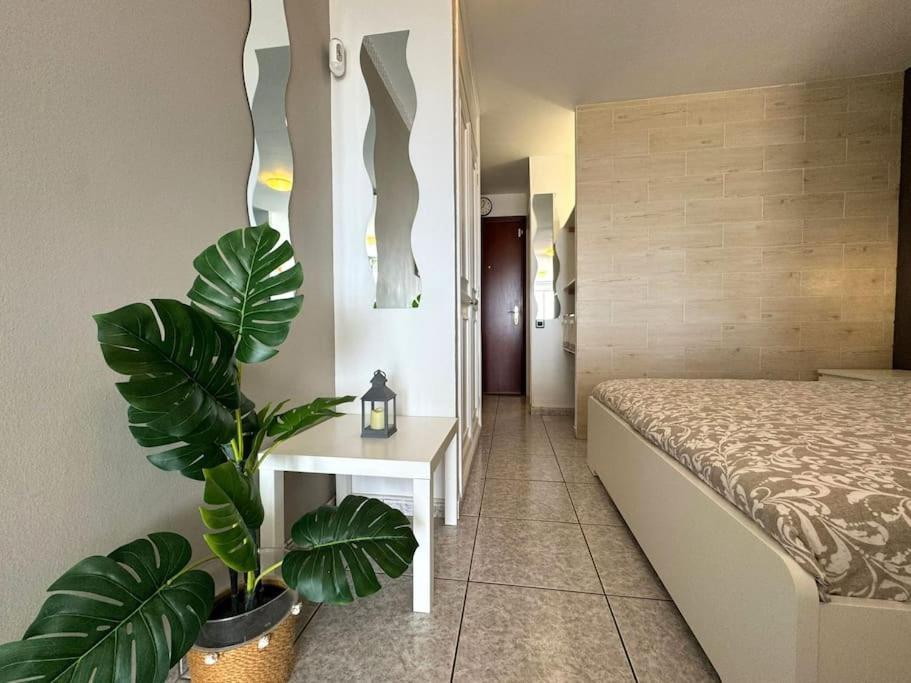 Palm Garden Apartment 모로델제블 외부 사진