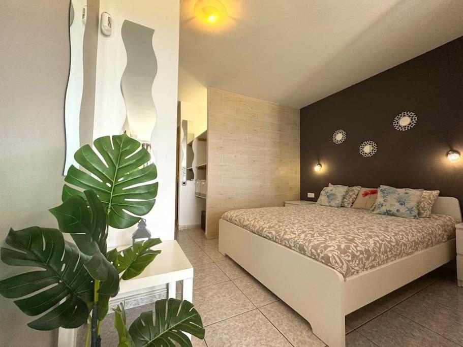 Palm Garden Apartment 모로델제블 외부 사진
